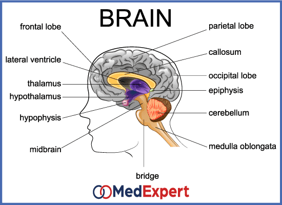 Pituitary adenoma; Pituitary adenoma symptoms; Pituitary adenoma treatment