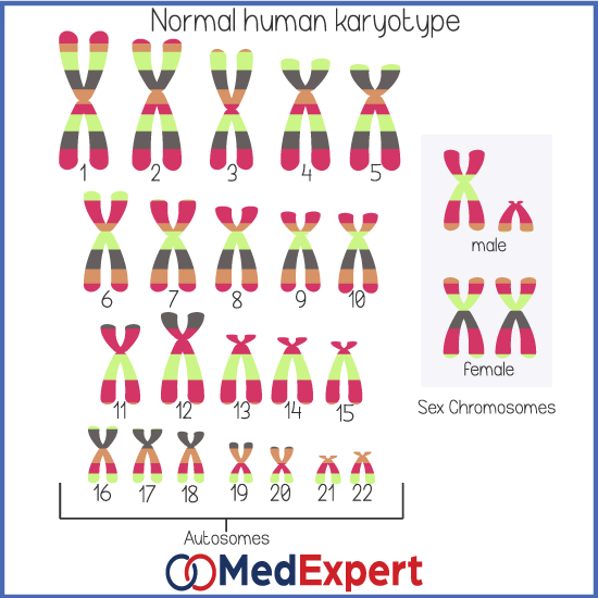 growth problems in children and genetics
